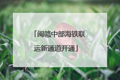 闽赣中部海铁联运新通道开通