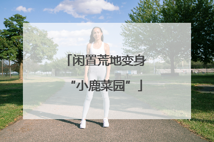闲置荒地变身“小鹿菜园”