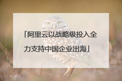阿里云以战略级投入全力支持中国企业出海