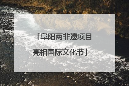 阜阳两非遗项目亮相国际文化节