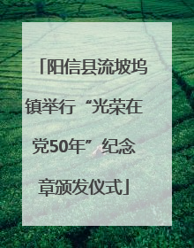 阳信县流坡坞镇举行“光荣在党50年”纪念章颁发仪式