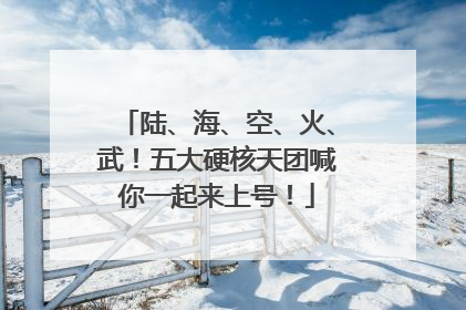 陆、海、空、火、武！五大硬核天团喊你一起来上号！