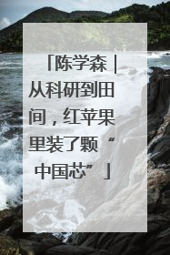 陈学森｜从科研到田间，红苹果里装了颗“中国芯”