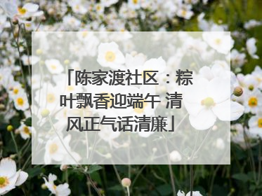 陈家渡社区：粽叶飘香迎端午 清风正气话清廉