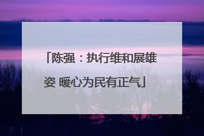 陈强：执行维和展雄姿 暖心为民有正气