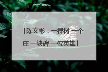 陈文彬：一棵树 一个庄 一块碑 一位英雄