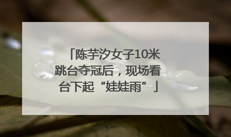 陈芋汐女子10米跳台夺冠后，现场看台下起“娃娃雨”