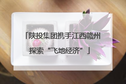 陕投集团携手江西赣州 探索“飞地经济”