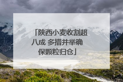陕西小麦收割超八成 多措并举确保颗粒归仓