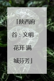 陕西府谷：文明花开 满城芬芳