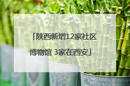 陕西新增12家社区博物馆 3家在西安