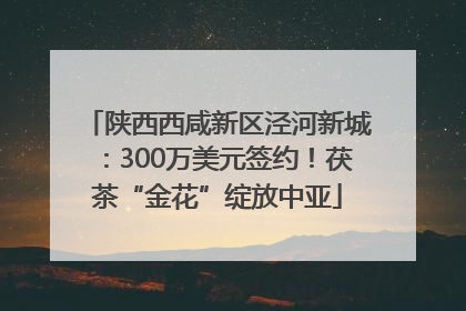陕西西咸新区泾河新城：300万美元签约！茯茶“金花”绽放中亚