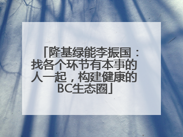 隆基绿能李振国：找各个环节有本事的人一起，构建健康的BC生态圈