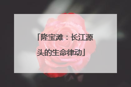 隆宝滩：长江源头的生命律动