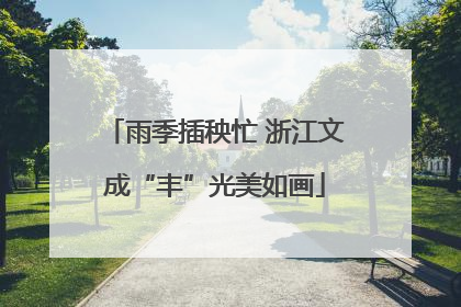 雨季插秧忙 浙江文成“丰”光美如画