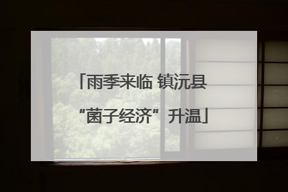 雨季来临 镇沅县“菌子经济”升温