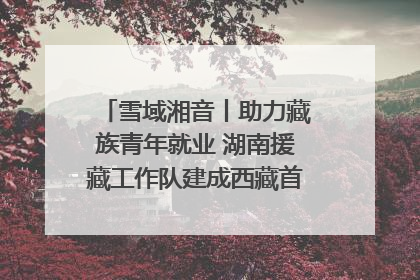雪域湘音丨助力藏族青年就业 湖南援藏工作队建成西藏首个清洁能源装备园