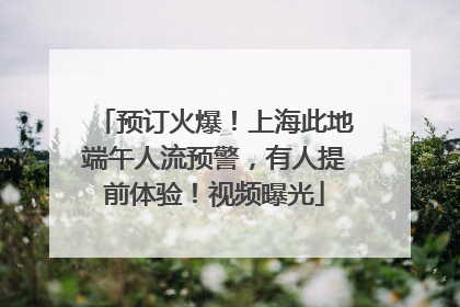 预订火爆！上海此地端午人流预警，有人提前体验！视频曝光