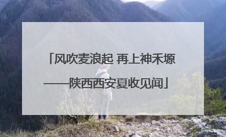 风吹麦浪起 再上神禾塬——陕西西安夏收见闻