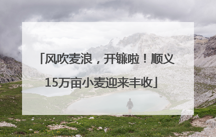 风吹麦浪，开镰啦！顺义15万亩小麦迎来丰收