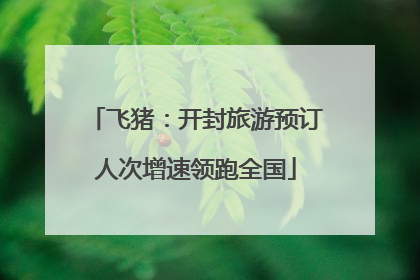 飞猪：开封旅游预订人次增速领跑全国