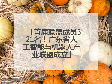 首届联盟成员321名！广东省人工智能与机器人产业联盟成立