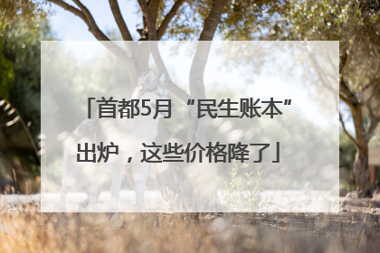 首都5月“民生账本”出炉，这些价格降了