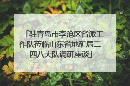 驻青岛市李沧区省派工作队莅临山东省地矿局二四八大队调研座谈