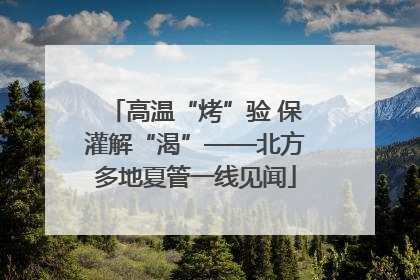 高温“烤”验 保灌解“渴”——北方多地夏管一线见闻