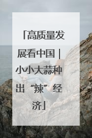 高质量发展看中国｜小小大蒜种出“辣”经济