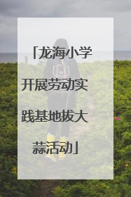 龙海小学开展劳动实践基地拔大蒜活动