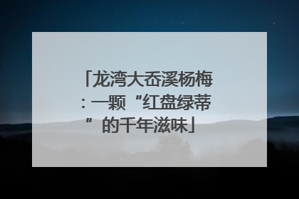 龙湾大岙溪杨梅：一颗“红盘绿蒂”的千年滋味