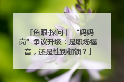 鱼眼·探问丨 “妈妈岗”争议升级：是职场福音，还是性别枷锁？
