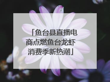 鱼台县直播电商点燃鱼台龙虾消费季新热潮