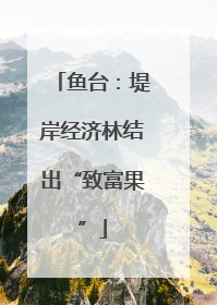 鱼台：堤岸经济林结出“致富果”