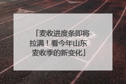 麦收进度条即将拉满！看今年山东麦收季的新变化