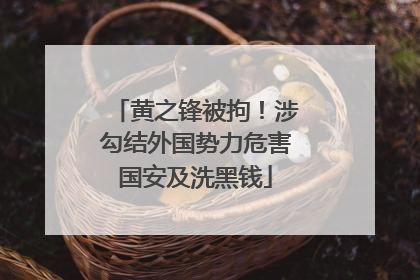黄之锋被拘！涉勾结外国势力危害国安及洗黑钱