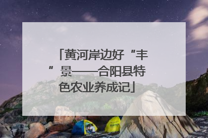 黄河岸边好“丰”景——合阳县特色农业养成记