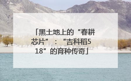 黑土地上的“春耕芯片”：“吉科稻518”的育种传奇