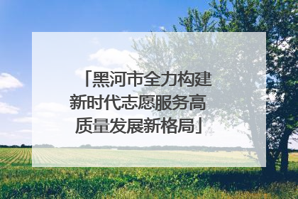 黑河市全力构建新时代志愿服务高质量发展新格局
