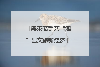 黑茶老手艺“泡”出文旅新经济
