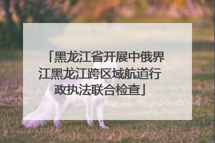 黑龙江省开展中俄界江黑龙江跨区域航道行政执法联合检查