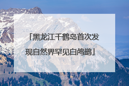 黑龙江千鹤岛首次发现自然界罕见白鸬鹚