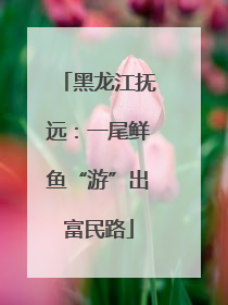 黑龙江抚远：一尾鲜鱼“游”出富民路