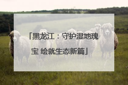 黑龙江：守护湿地瑰宝 绘就生态新篇