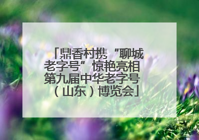 鼎香村携“聊城老字号”惊艳亮相第九届中华老字号（山东）博览会