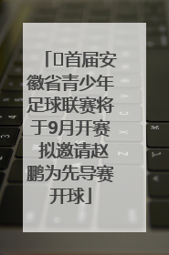 ﻿首届安徽省青少年足球联赛将于9月开赛 拟邀请赵鹏为先导赛开球