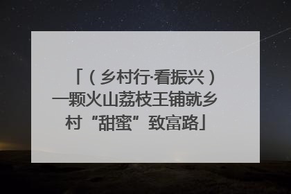 （乡村行·看振兴）一颗火山荔枝王铺就乡村“甜蜜”致富路