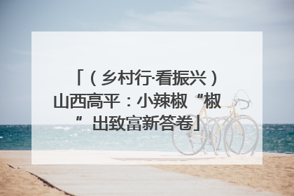 （乡村行·看振兴）山西高平：小辣椒“椒”出致富新答卷