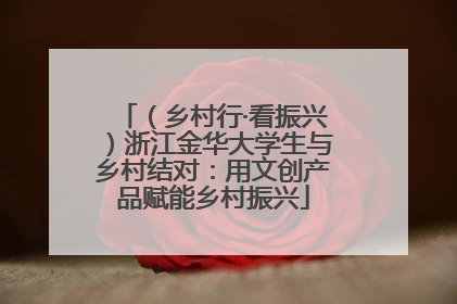 （乡村行·看振兴）浙江金华大学生与乡村结对：用文创产品赋能乡村振兴